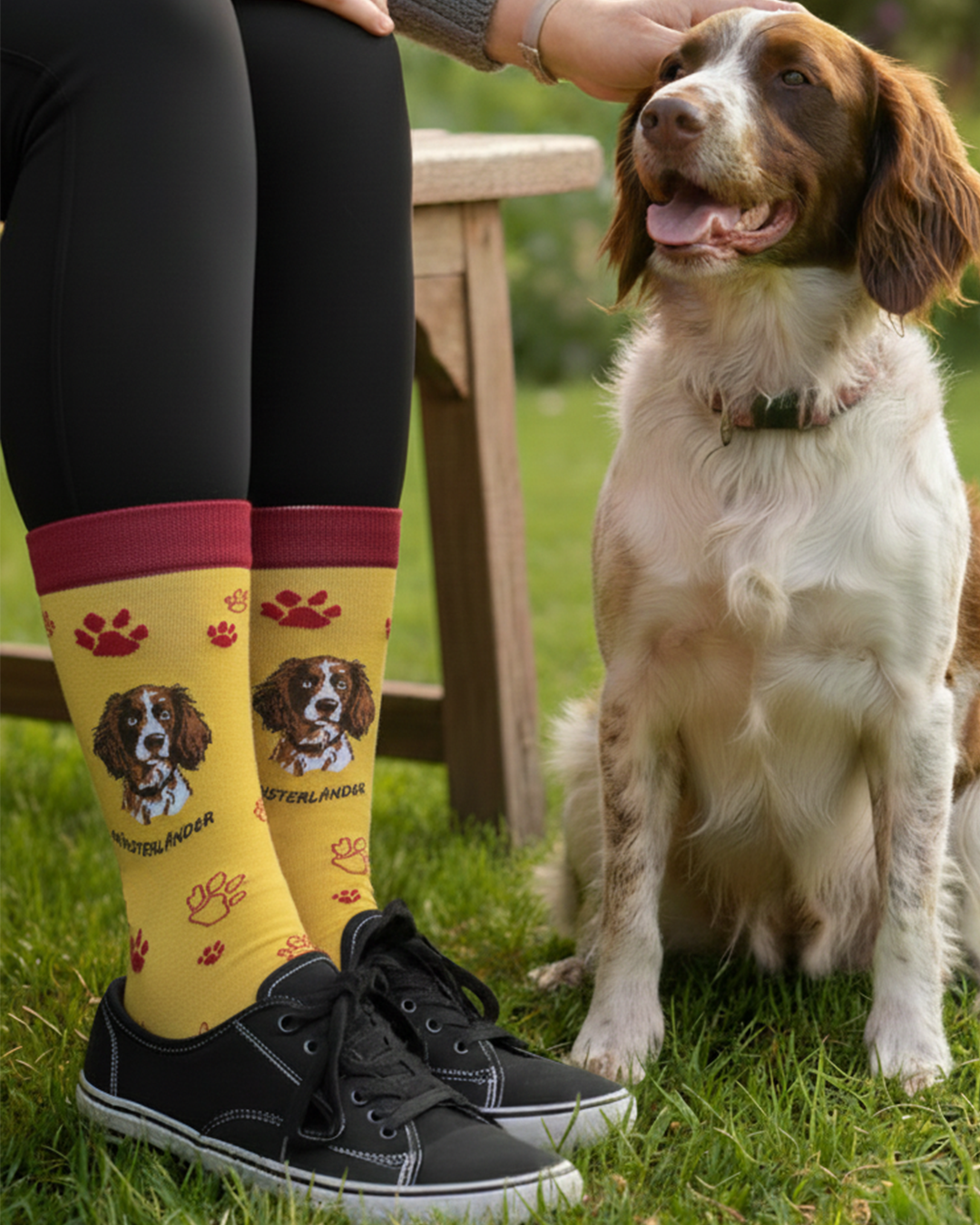 Münsterländer Socks German Dog Breed Series