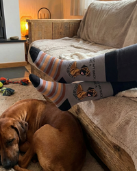 Ridgeback Socks African Dog Breed Series