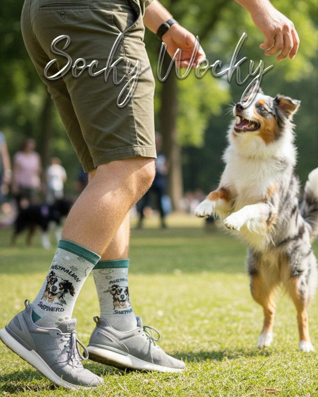 Calze Australian Shepherd Edizione Cani da Pastore