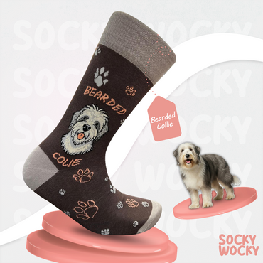 Bearded Collie Socks Dog Funny