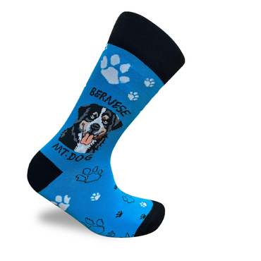 Bernese Socks Alpine Dog Series