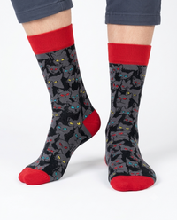 Black Cats Socks Mystery Animal Series