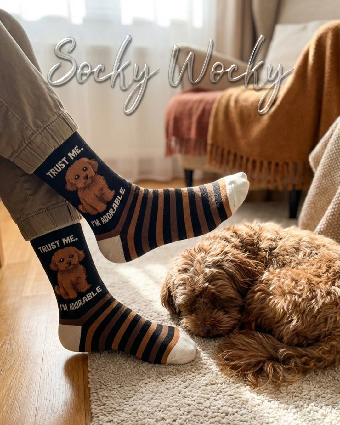 ⁠Bolonka Socks Small Dog Breed Series