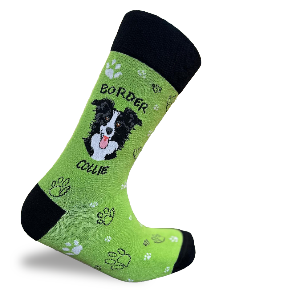 Border Collie Socks Intelligent Dog Line