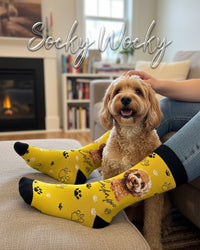 Cockapoo Portrait Socks Dog Art Edition