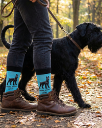 Great Schnauzer Socks Dog Funny Cotton