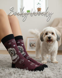 Havanese Socks Toy Dog Breed Edition