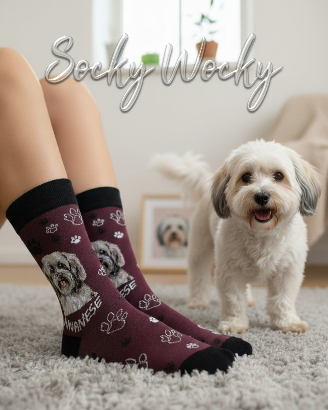 Havanese Socks Toy Dog Breed Edition