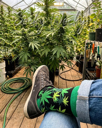 Hemp Socks Organic Inspired Design