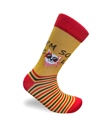 I'm So Cool Cat Graphic Statement Socks