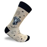 Labrador Black Socks Loyal Dog Series