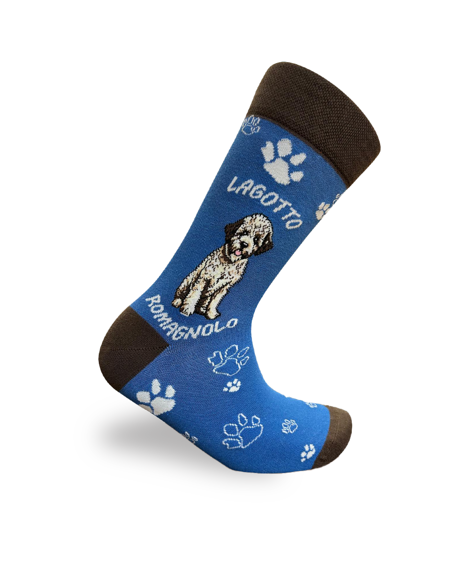 Lagotto Romagnolo Socks Dog Breed Style