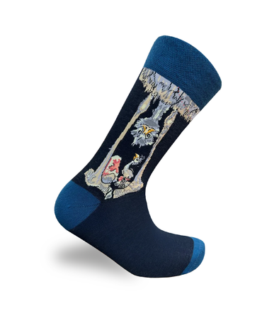 Chaussettes Autruche Série Oiseaux du Safari