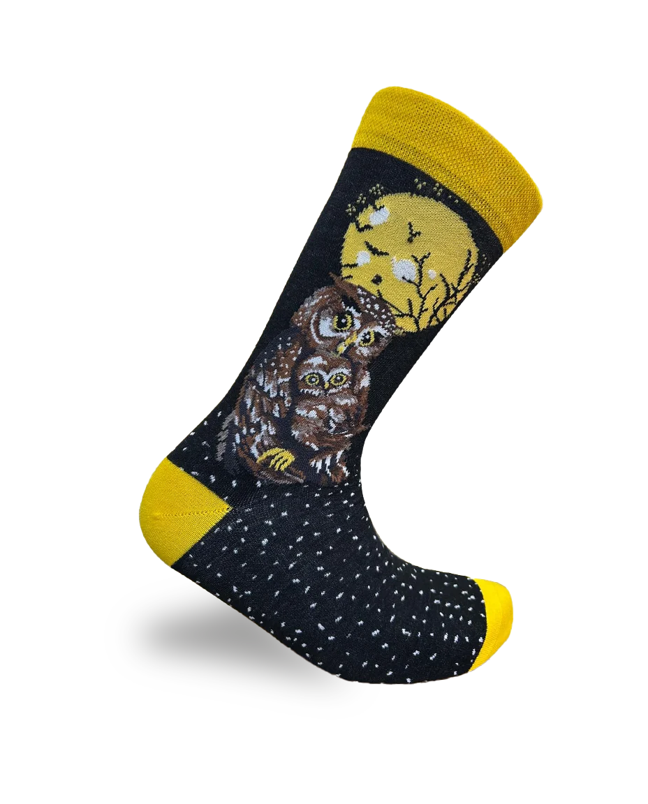 Chaussettes Hibou Édition Oiseaux de Nuit