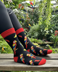 Parrot Socks Tropical Bird Series