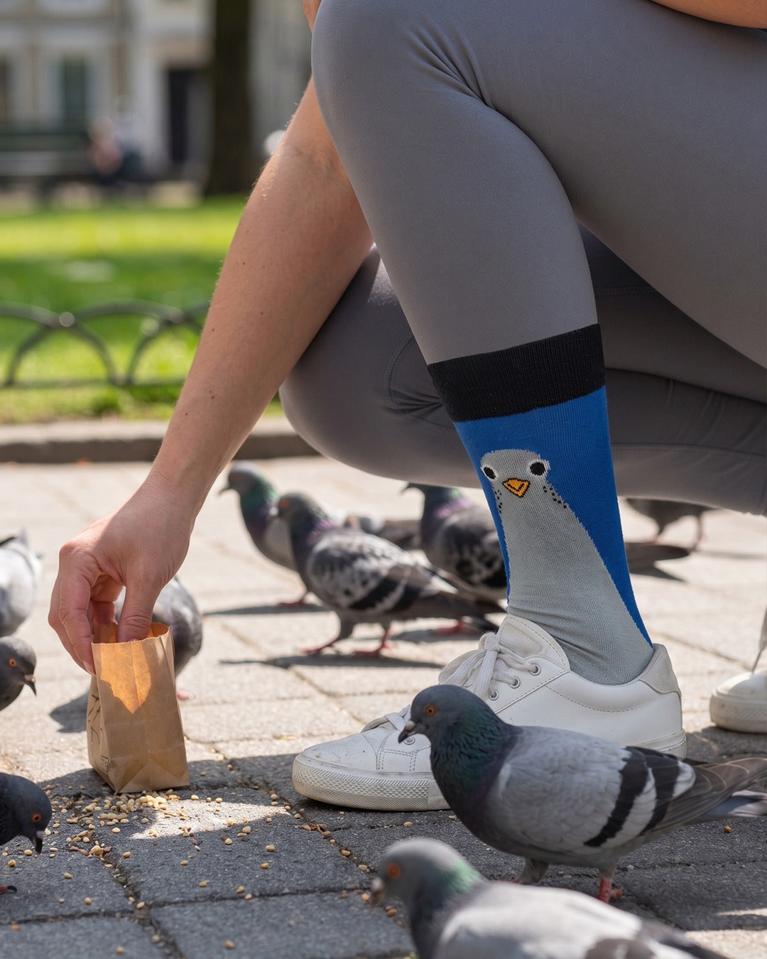 Taubensocken Stadtvogel-Kollektion