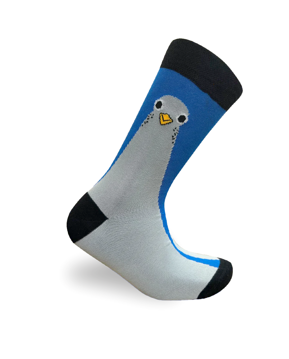 Pigeon Socks City Bird Collection
