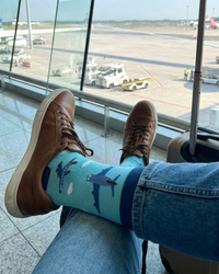 Plane Socks Aviation Travel Series