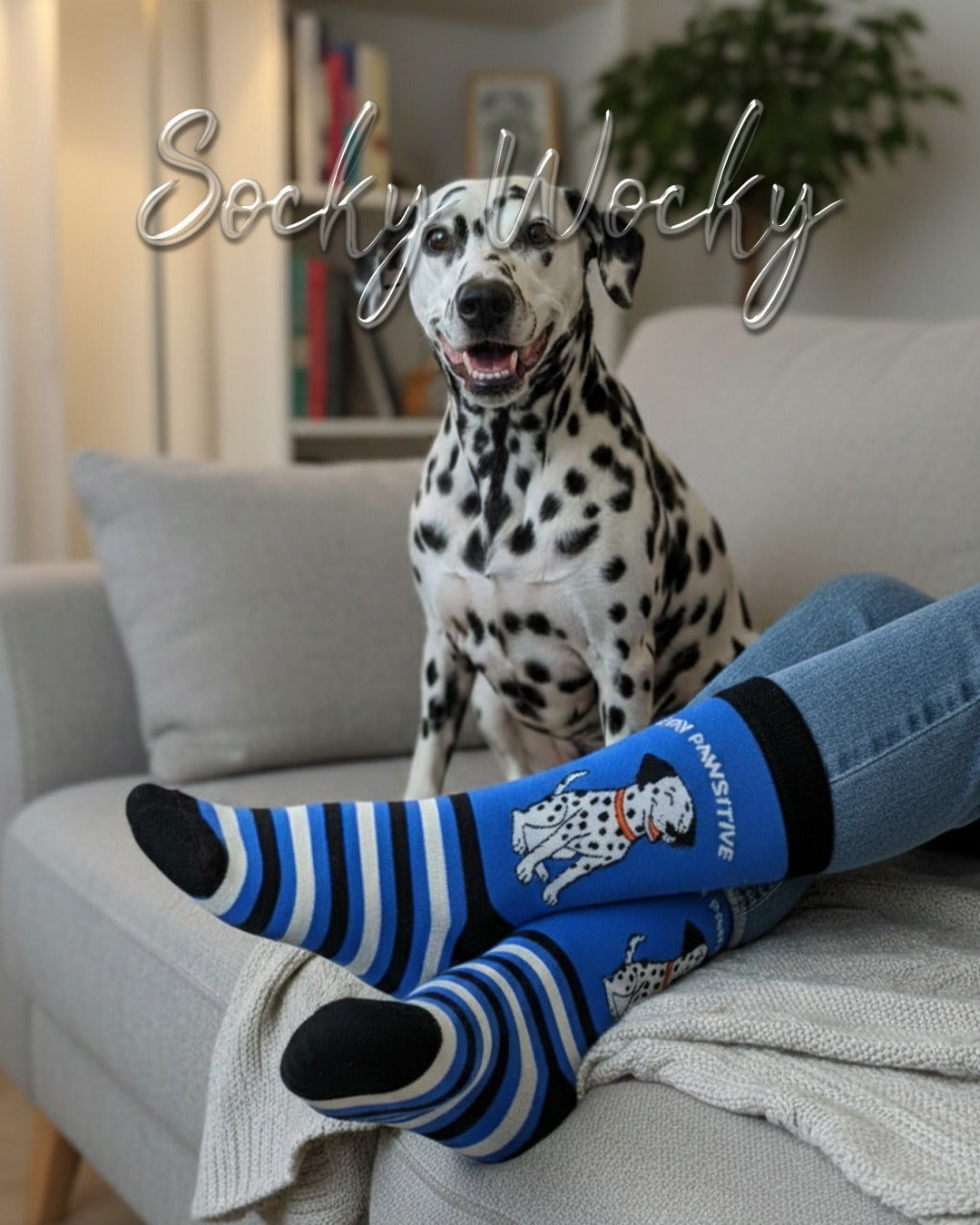 Stay Pawsitive Socks Dalmatian Pet Motivation Edition