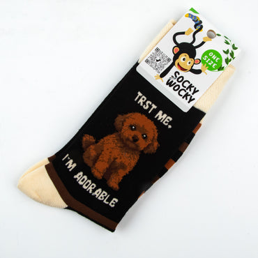 Série de chaussettes Bolonka pour petites races de chiens