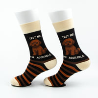 Série de chaussettes Bolonka pour petites races de chiens