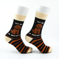 Série de chaussettes Bolonka pour petites races de chiens