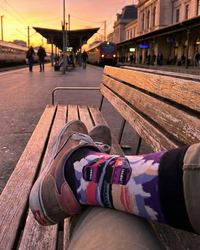 Train Purple Socks Railway Travel Series
