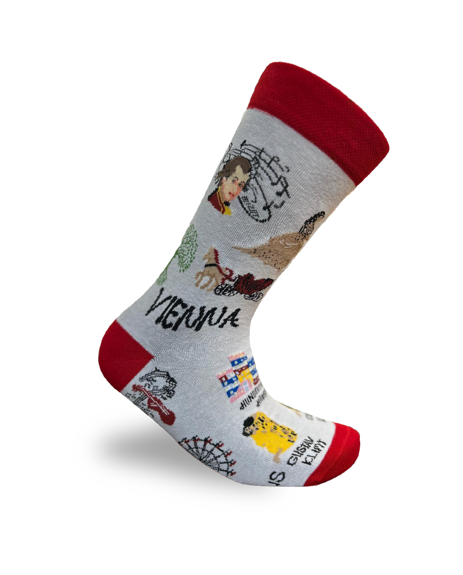 Chaussettes Souvenir de la ville de Vienne Motif monument unique