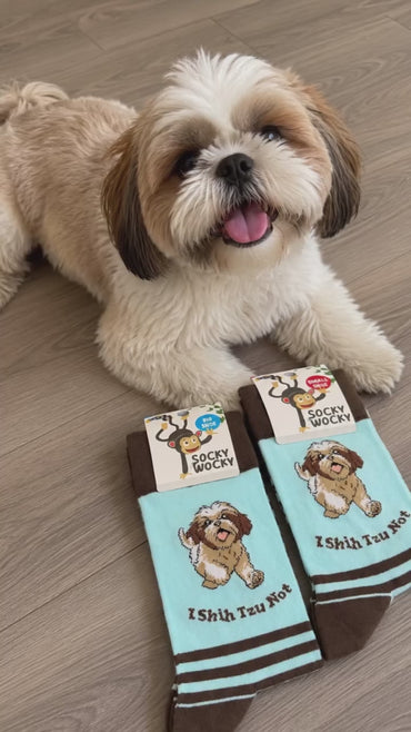 Pharmacist Shih Tzu Socks Dog Profession Design